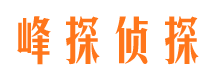 鸡泽侦探